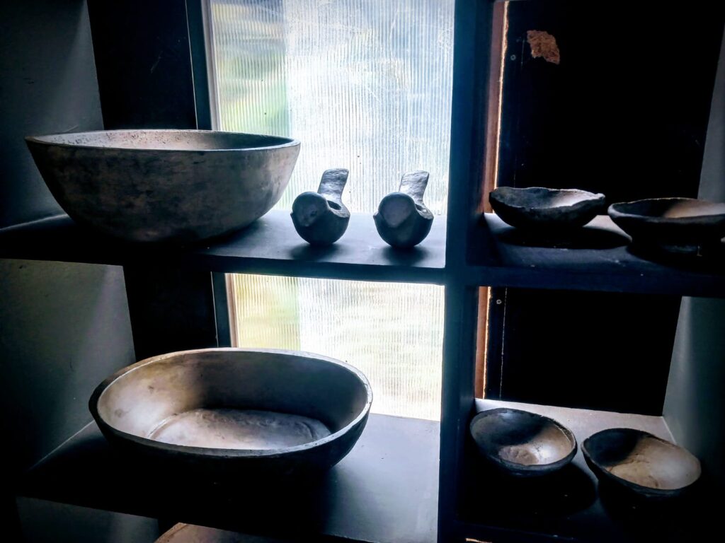 Bowls in shelve